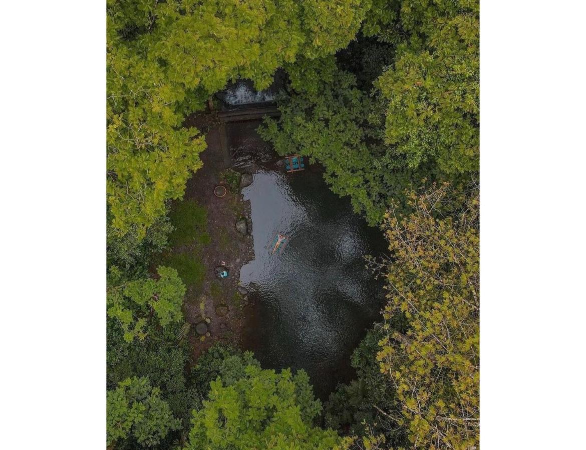 Hotel Del Bosque Río Cuarto Eksteriør billede