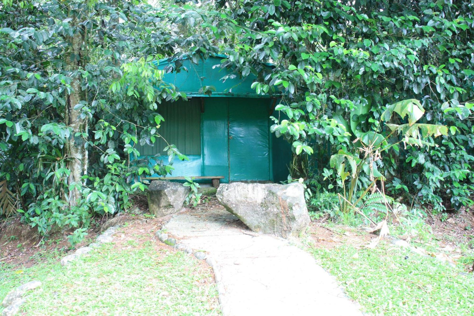 Hotel Del Bosque Río Cuarto Eksteriør billede